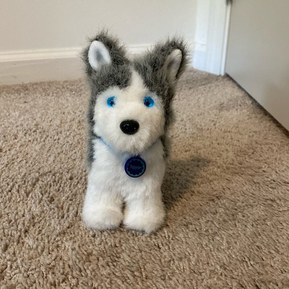 American Girl dog